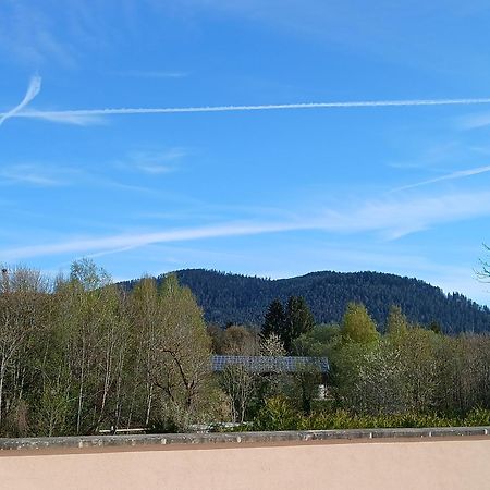 Hotel L'Oree Des Roches Saales Kültér fotó