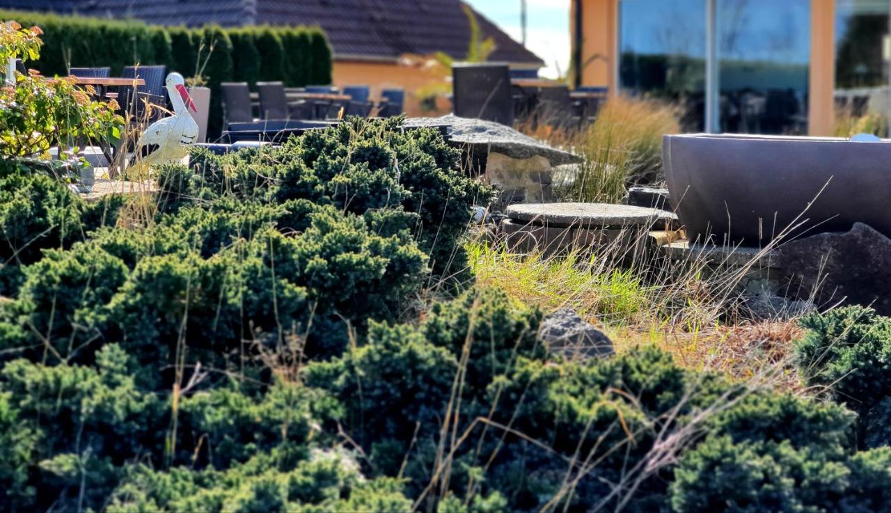 Hotel L'Oree Des Roches Saales Kültér fotó